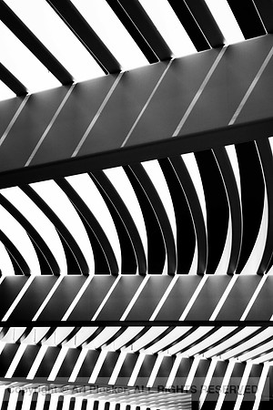 Saguaro National Park West Visitor Center Detail (No. 1441)