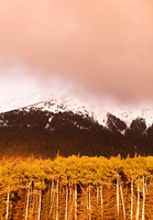 Last Light Over Snowbowl