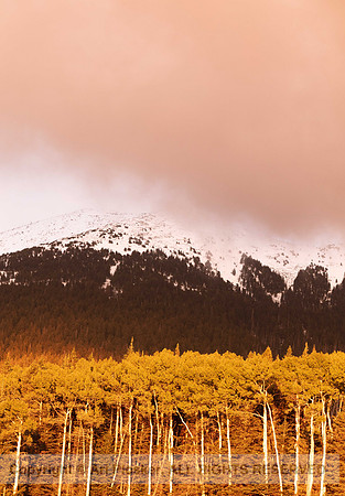 Last Light Over Snowbowl