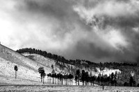 Near Flagstaff (No 6916)