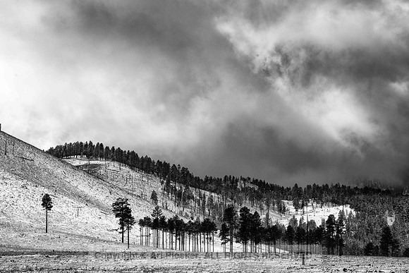 Near Flagstaff (No 6916)