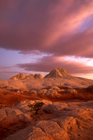 White Pocket at Dawn