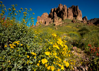 Lost Dutchman State Park (No. 174)