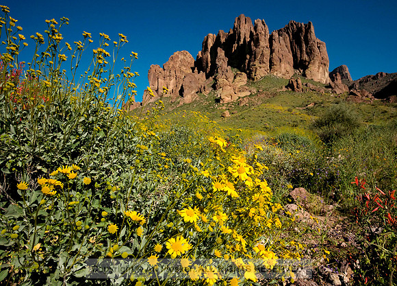 Lost Dutchman State Park (No. 174)