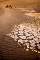 Mudflat (No 278)