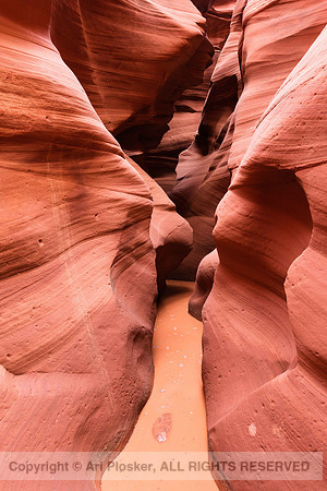 Canyon X After the Flood (No. 4181)