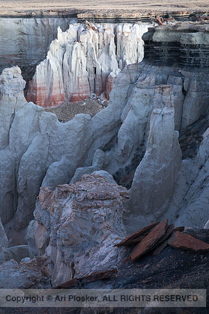 Reflected Evening Light, Coal Mine Canyon (No. 2712)