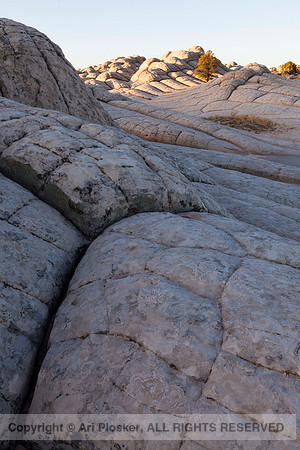 White Pocket (No. 286)