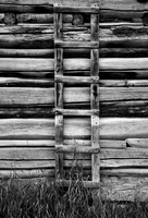 Ladder