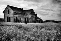 Homestead In The Wheatfield
