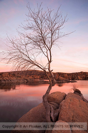 Watson Lake (No. 270)