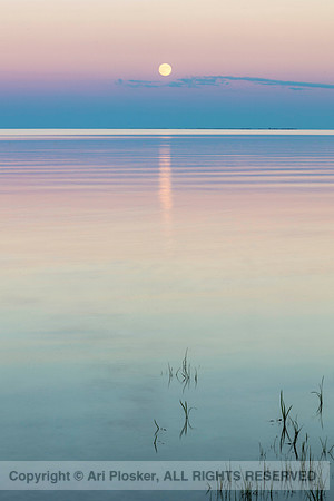 Moonrise, Ash Beach 2018