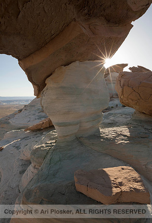 Morning at Stud Horse Point (No. 172)