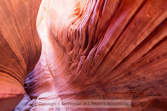 Striated Wall, Red Canyon