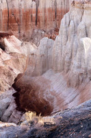 Sunlit Grasses, Pink and Purple, Coal Mine Canyon (No. 9211)
