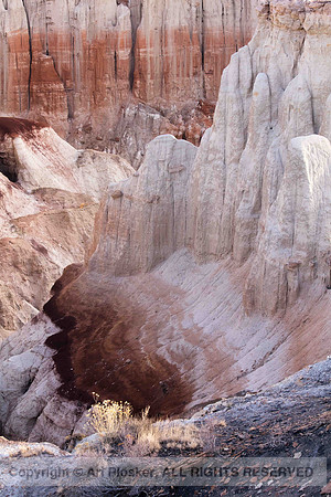 Sunlit Grasses, Pink and Purple, Coal Mine Canyon (No. 9211)