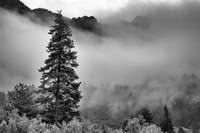 Clearing Storm 2