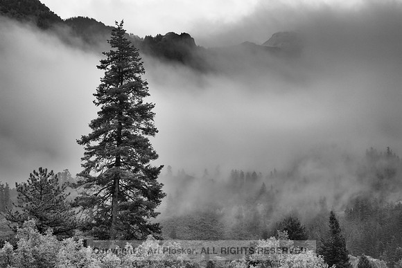 Clearing Storm 2