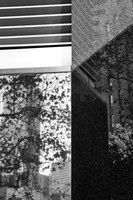 Wall Reflection (No 1112)