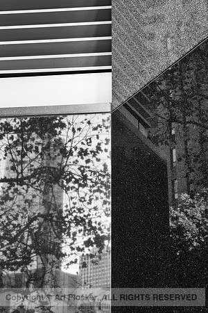Wall Reflection (No 1112)