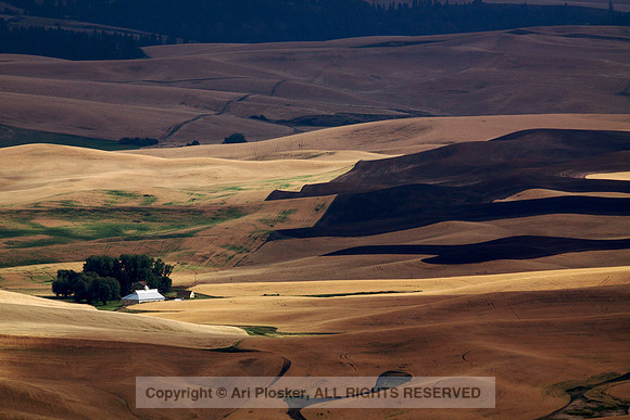 View From Steptoe Butte (No. 95)