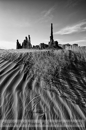 Totem Pole and Yei Bi Chei (No. 588BW)