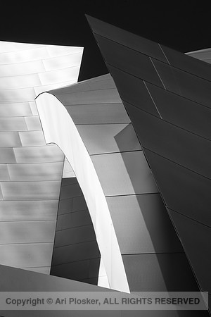Walt Disney Concert Hall (No 0952)