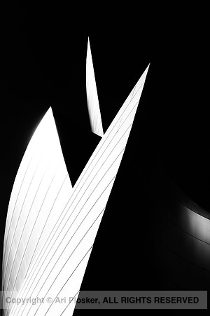 Walt Disney Concert Hall (No. 920)