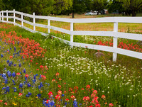 Texas Hill Country (No. 127)