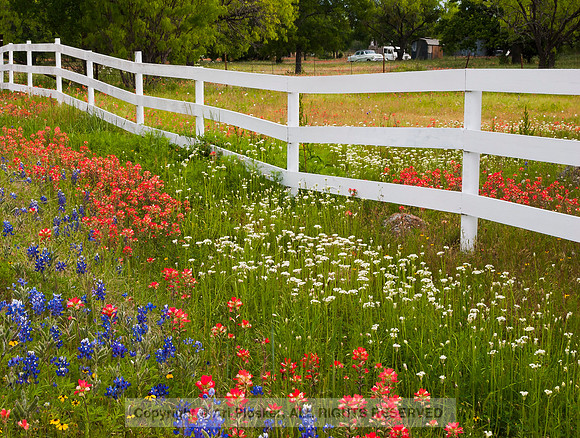 Texas Hill Country (No. 127)