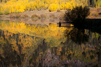 Aspen Reflection (No. 71)
