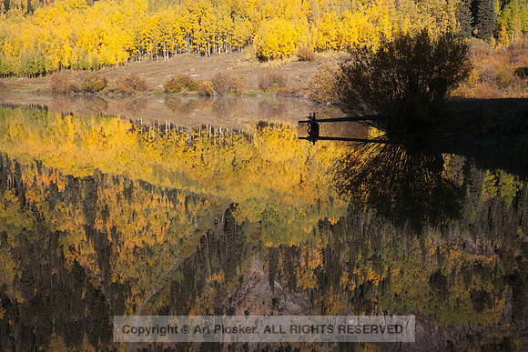 Aspen Reflection (No. 71)