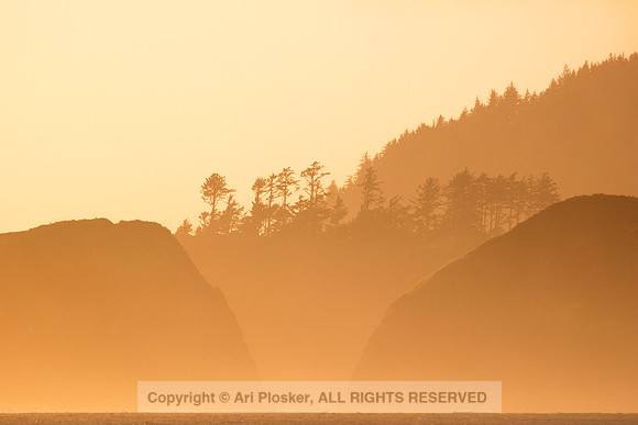 Hills and Trees in the Haze