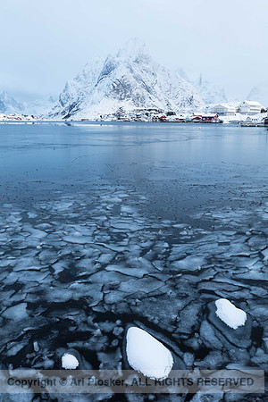 Reine (No. 2030)