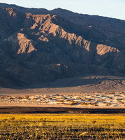 Death Valley Superbloom (No. 6490)