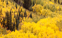 Aspen Abstract