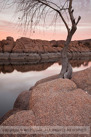 Watson Lake (No. 262)