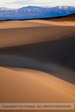 Death Valley Dunes (No. 308)