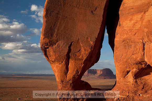 Tear Drop Arch (No. 209)