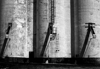 Cashup Grain Elevator (No. 242)