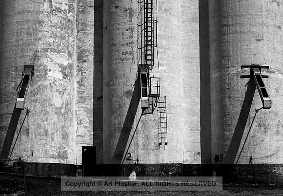 Cashup Grain Elevator (No. 242)