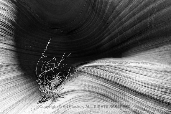 Secret Canyon No. 9067