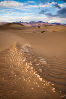Mudflat (No. 206)