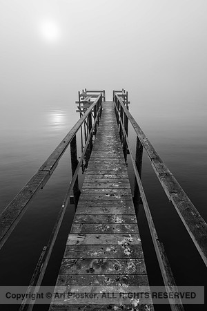 Beachside Park Pier Foggy Morning (No. 4774)