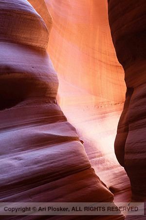 Sandstone Detail (No. 2218), Secret Canyon (No. 2127)