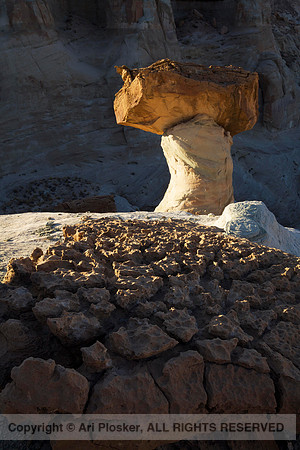 Stud Horse Point (No. 53)