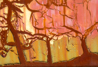 Fall Trees