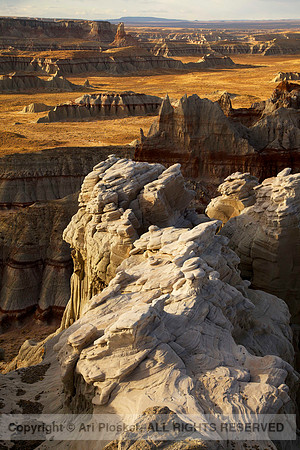View from Coal Mine Canyon (No. 203)