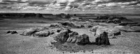 View From Hunt's Mesa Panorama