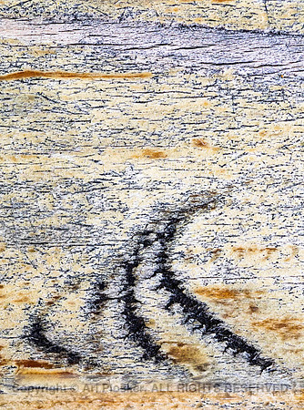 Bench Abstract 2, Santa Fe_